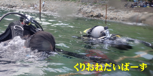 黄金崎ダイビング