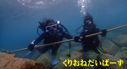 黄金崎ダイビング