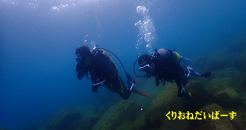 黄金崎ダイビング