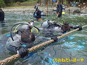 黄金崎体験ダイビング