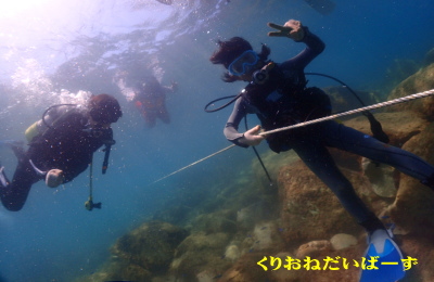 黄金崎体験ダイビング