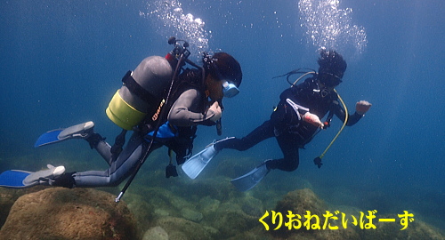 黄金崎体験ダイビング