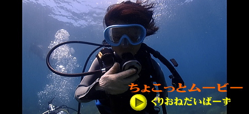 黄金崎体験ダイビング