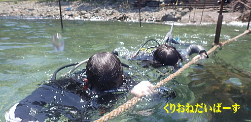 黄金崎体験ダイビング