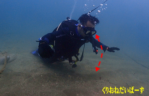 黄金崎ダイビングライセンス取得