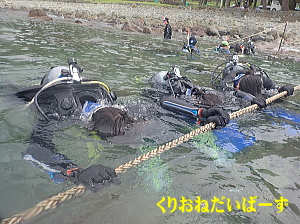 西伊豆黄金崎ダイビング