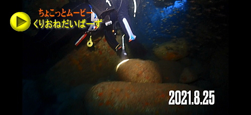 西伊豆初洞窟ダイビング