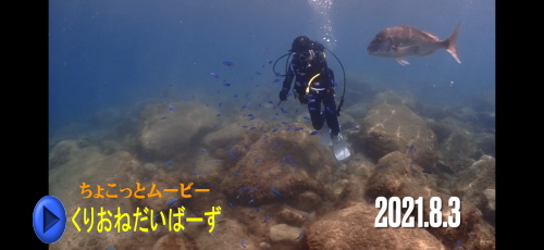 黄金崎体験ダイビング