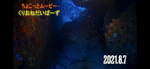 雲見洞窟ダイビング