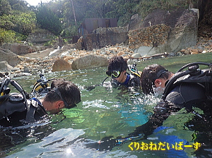 雲見体験ダイビング