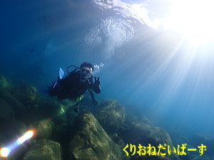 黄金崎体験ダイビング