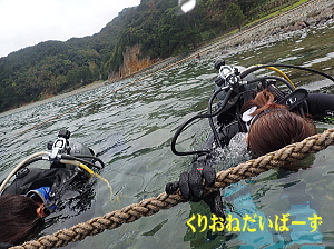 黄金崎体験ダイビング