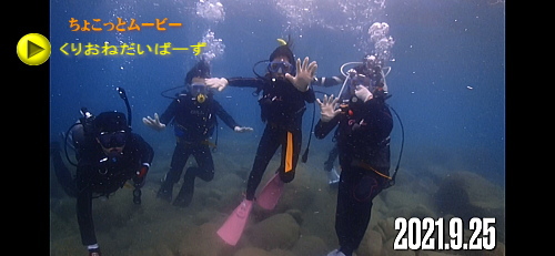 西伊豆黄金崎体験ダイビング
