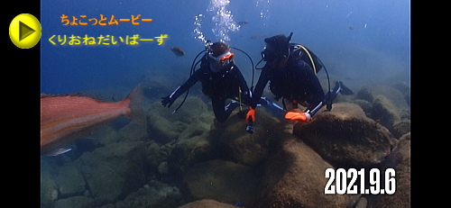 体験ダイビング西伊豆