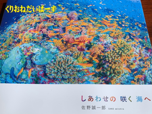 水中写真集/しあわせの咲く海へ