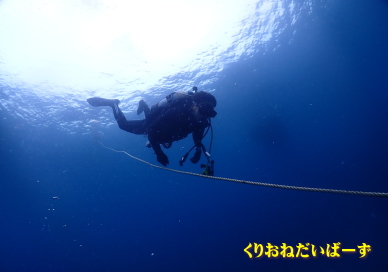 雲見ダイビング