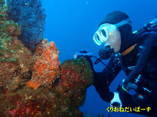 西伊豆田子ダイビング