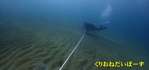 伊豆アドバンス講習