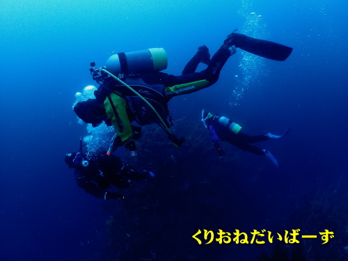 田子ダイビング