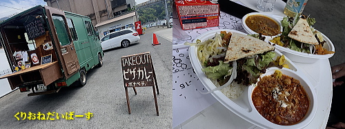 西伊豆安良里港保全ダイビング