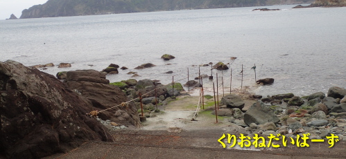 西伊豆黄金体験ダイビング