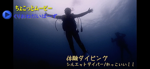 西伊豆黄金崎体験ダイビング
