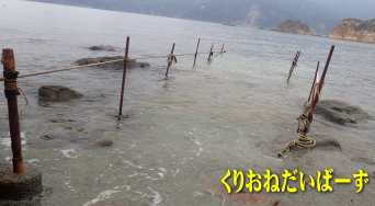 西伊豆黄金崎体験ダイビング