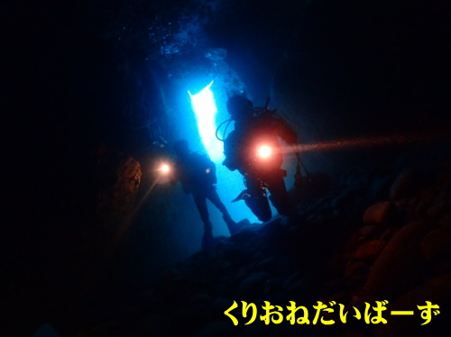 西伊豆雲見ダイビング