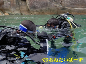西伊豆雲見体験ダイビング