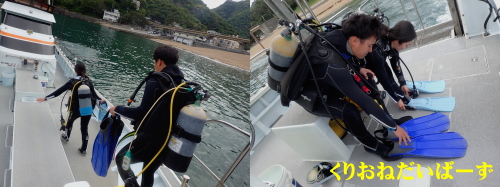 西伊豆雲見体験ダイビング