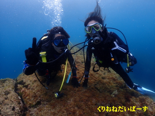 西伊豆雲見体験ダイビング