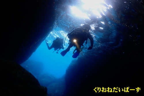 西伊豆雲見体験ダイビング