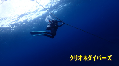 雲見ダイビング