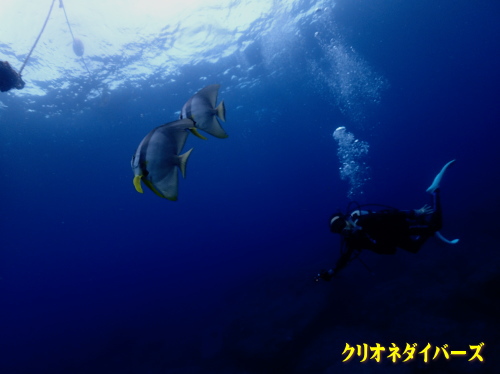 雲見ダイビング