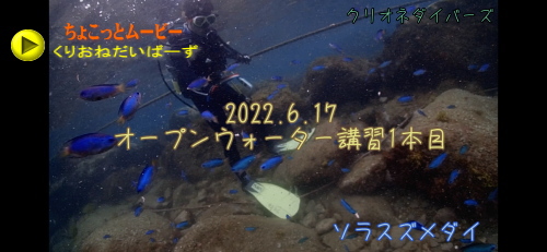 ライセンス講習1本目は遊びダイビング