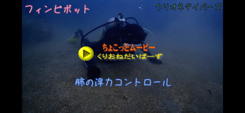 ライセンス講習1本目は遊びダイビング