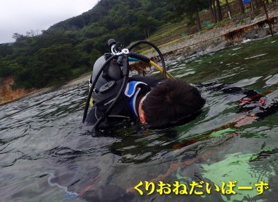 西伊豆ダイビング講習