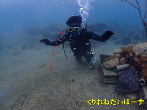 西伊豆ダイビング講習
