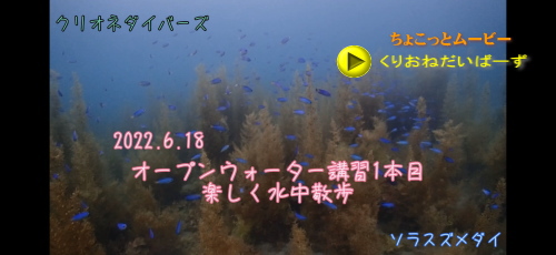ライセンス講習1本目は遊びダイビング