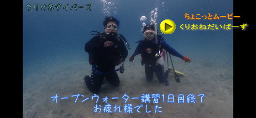 西伊豆オープンウォーター講習