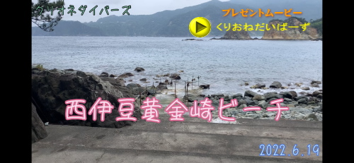 ダイビングプレゼントムービー
