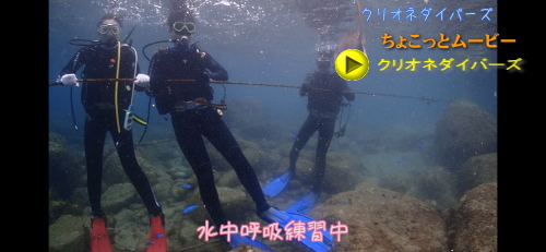 ライセンス講習1本目は遊びダイビング