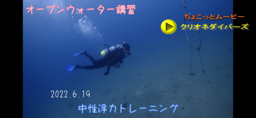 西伊豆ダイビング講習