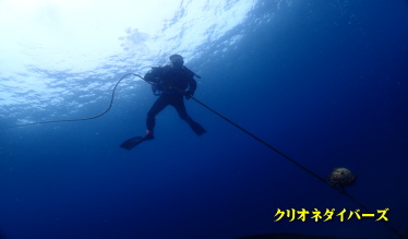 田子ダイビング