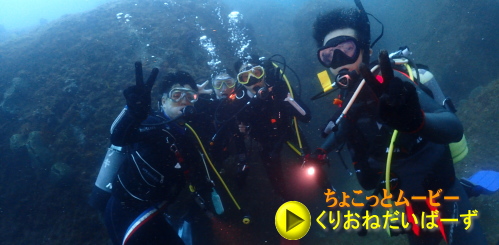 西伊豆雲見ダイビング