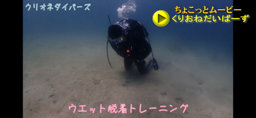 西伊豆ダイビング取得講習