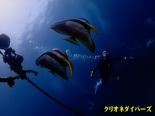 雲見ダイビング