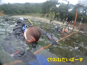 黄金崎体験ダイビング