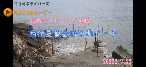 黄金崎体験ダイビング