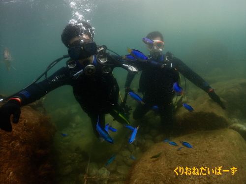 黄金崎体験ダイビング